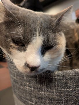 おさるランド＆アニタウン　日光さる軍団劇場に投稿された画像（2025/4/27）