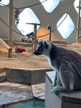 NIFREL（ニフレル）に投稿された画像（2025/4/27）