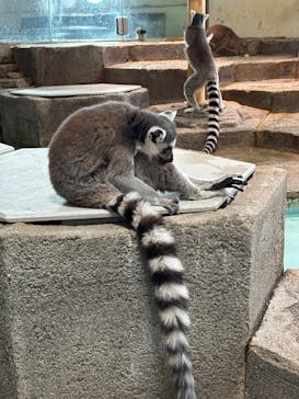 NIFREL（ニフレル）に投稿された画像（2025/4/27）