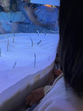 マリンワールド海の中道に投稿された画像（2025/4/27）