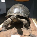  うんち展　-No UNCHI, No LIFE-に投稿された画像（2025/4/27）