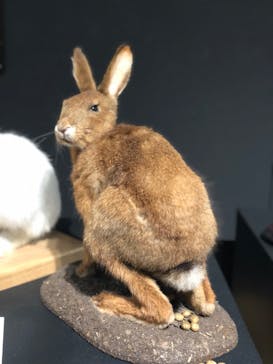  うんち展　-No UNCHI, No LIFE-に投稿された画像（2025/4/27）