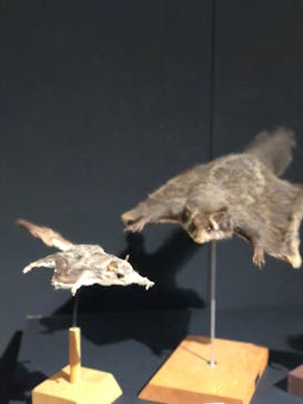  うんち展　-No UNCHI, No LIFE-に投稿された画像（2025/4/27）