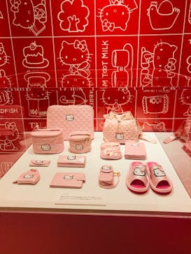 沖縄県立博物館・美術館〔おきみゅー〕に投稿された画像（2025/4/27）