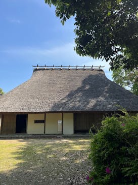 こうべアグリパークネモフィラの丘2025に投稿された画像（2025/4/27）