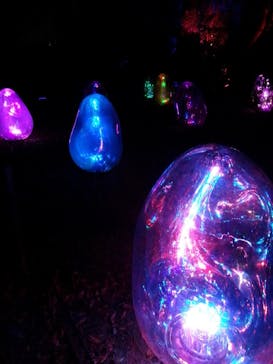 チームラボ ボタニカルガーデン 大阪に投稿された画像（2025/4/27）