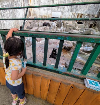 奥飛騨クマ牧場に投稿された画像（2025/4/27）