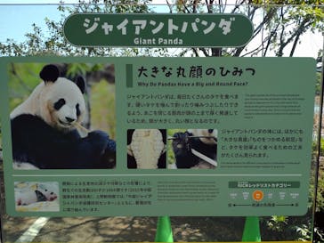 恩賜上野動物園に投稿された画像（2025/4/27）