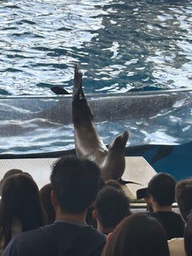 アクアワールド茨城県大洗水族館に投稿された画像（2025/4/27）