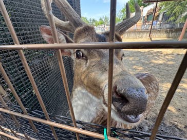 東武動物公園に投稿された画像（2025/4/27）