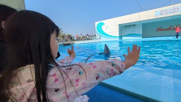 南知多ビーチランド＆南知多おもちゃ王国に投稿された画像（2025/4/27）