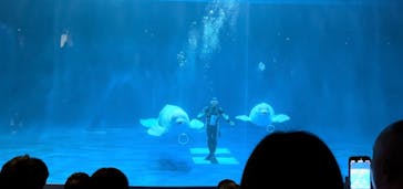 島根県立 しまね海洋館に投稿された画像（2025/4/27）