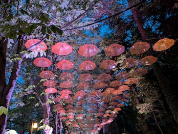 ムーミンバレーパークに投稿された画像（2025/4/27）