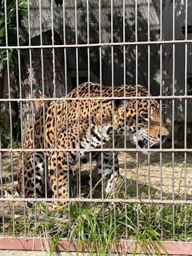 名古屋市東山動植物園に投稿された画像（2025/4/27）