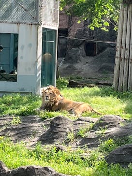 名古屋市東山動植物園に投稿された画像（2025/4/27）