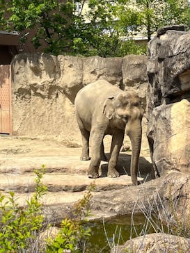 名古屋市東山動植物園に投稿された画像（2025/4/27）