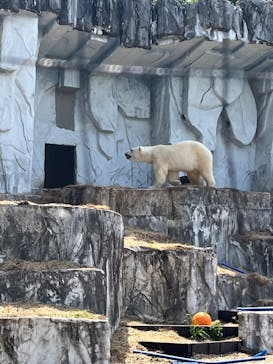 名古屋市東山動植物園に投稿された画像（2025/4/27）