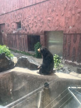 名古屋市東山動植物園に投稿された画像（2025/4/27）