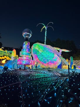 伊豆高原グランイルミに投稿された画像（2025/4/27）