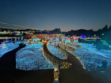 伊豆高原グランイルミに投稿された画像（2025/4/27）