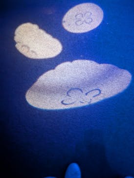 九十九島パールシーリゾートに投稿された画像（2025/4/27）