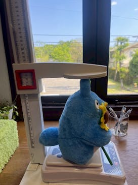 伊豆テディベア・ミュージアムに投稿された画像（2025/4/27）