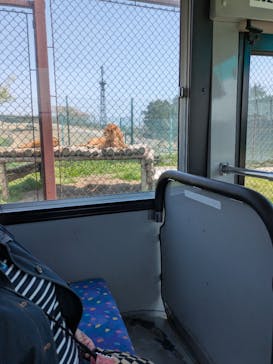 岩手サファリパークに投稿された画像（2025/4/27）