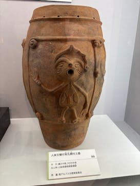 特別展「古代DNA－日本人のきた道」（国立科学博物館）に投稿された画像（2025/4/27）