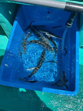 第三新生合同丸に投稿された画像（2025/4/27）