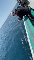 第三新生合同丸に投稿された画像（2025/4/27）