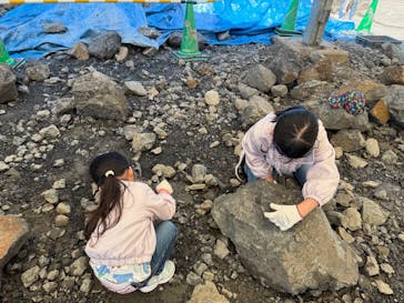 福井県立恐竜博物館に投稿された画像（2025/4/27）