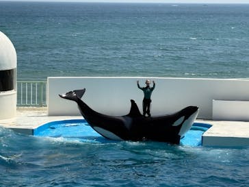 鴨川シーワールドに投稿された画像（2025/4/27）