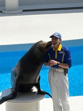 鴨川シーワールドに投稿された画像（2025/4/27）