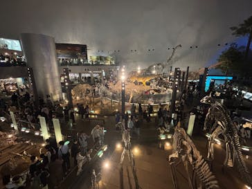 福井県立恐竜博物館に投稿された画像（2025/4/27）