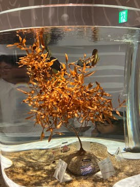 NIFREL（ニフレル）に投稿された画像（2025/4/27）