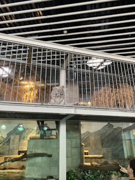 NIFREL（ニフレル）に投稿された画像（2025/4/27）