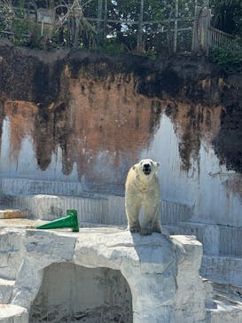 天王寺動物園に投稿された画像（2025/4/27）
