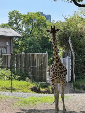 天王寺動物園に投稿された画像（2025/4/27）
