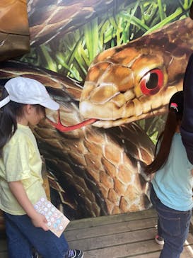 モビリティリゾートもてぎに投稿された画像（2025/4/27）