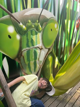 モビリティリゾートもてぎに投稿された画像（2025/4/27）