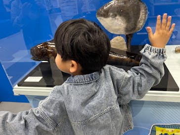 ギョギョッとサカナ★スター展に投稿された画像（2025/4/12）