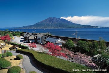 仙巌園に投稿された画像（2025/4/27）