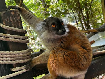 長崎バイオパークに投稿された画像（2025/4/27）