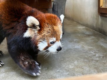 長崎バイオパークに投稿された画像（2025/4/27）