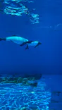 仙台うみの杜水族館に投稿された画像（2025/4/28）