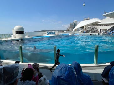 鴨川シーワールドに投稿された画像（2025/4/27）