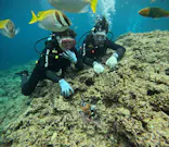 武藤潜水に投稿された画像（2025/4/28）