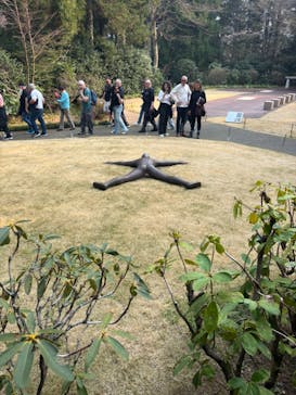 彫刻の森美術館に投稿された画像（2025/4/28）