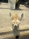 伊豆シャボテン動物公園に投稿された画像（2025/4/28）