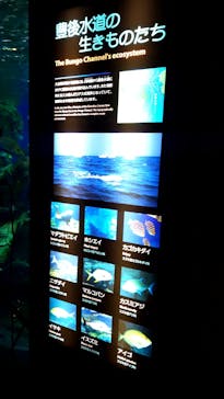 大分マリーンパレス水族館 「うみたまご」に投稿された画像（2025/4/28）